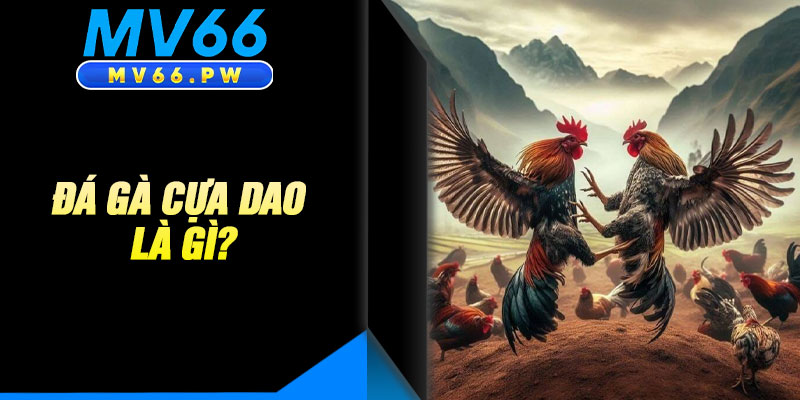 Đá Gà Cựa Dao Là Gì?