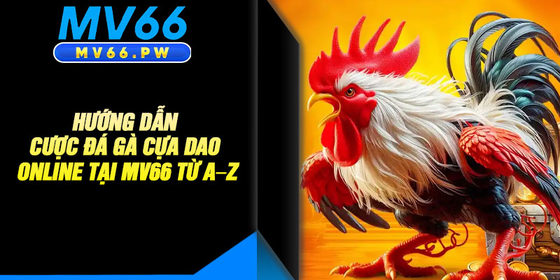 Hướng Dẫn Cược Đá Gà Cựa Dao Online Tại MV66 từ A–Z