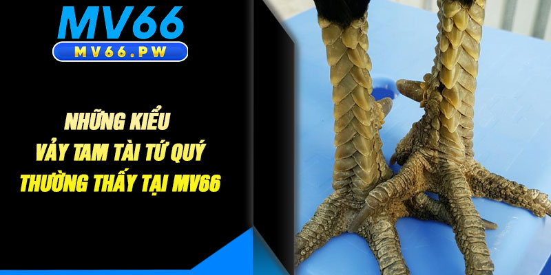 Những Kiểu Vảy Tam Tài Tứ Quý Thường Thấy Tại MV66