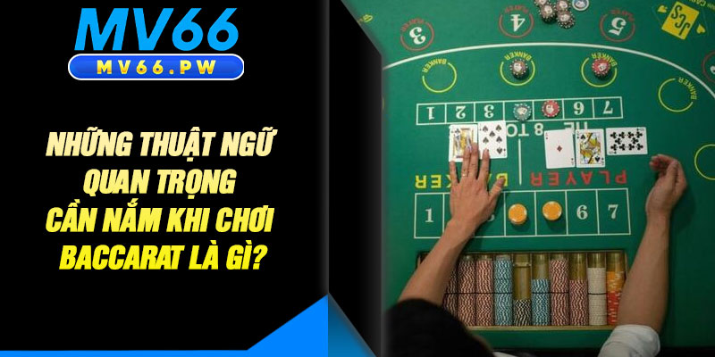 Những Thuật Ngữ Quan Trọng Cần Nắm Khi Chơi Baccarat Là Gì?