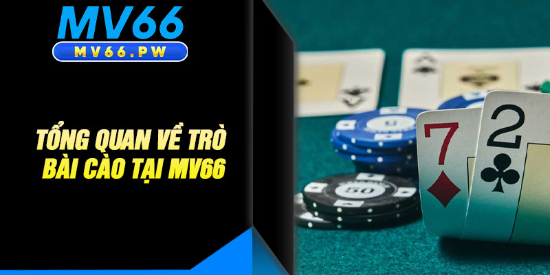 Tổng Quan Về Trò Bài Cào Tại MV66